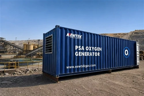 Planta de oxígeno NEWTEK PSA para procesos mineros: soluciones de oxígeno con...